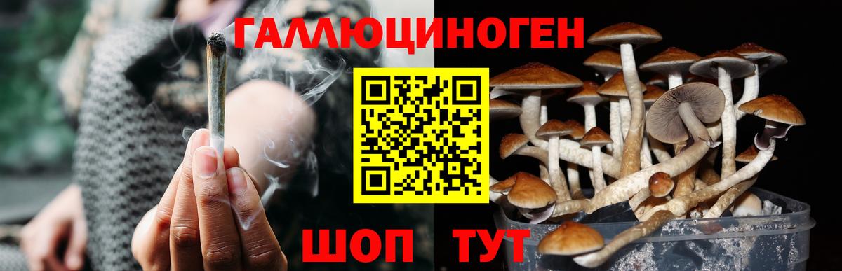 Галлюциногенные грибы ЛСД Таганрог